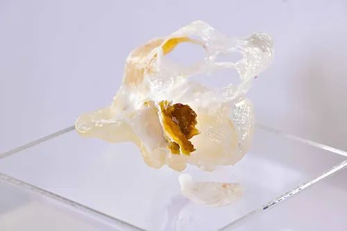 A sculpture of saliva and guar gum on isomalt crystals (sugar) coated with nail polish varnish.