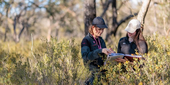 Anglesea Vegetation Field Trip for the Bachelor of Environmental Science