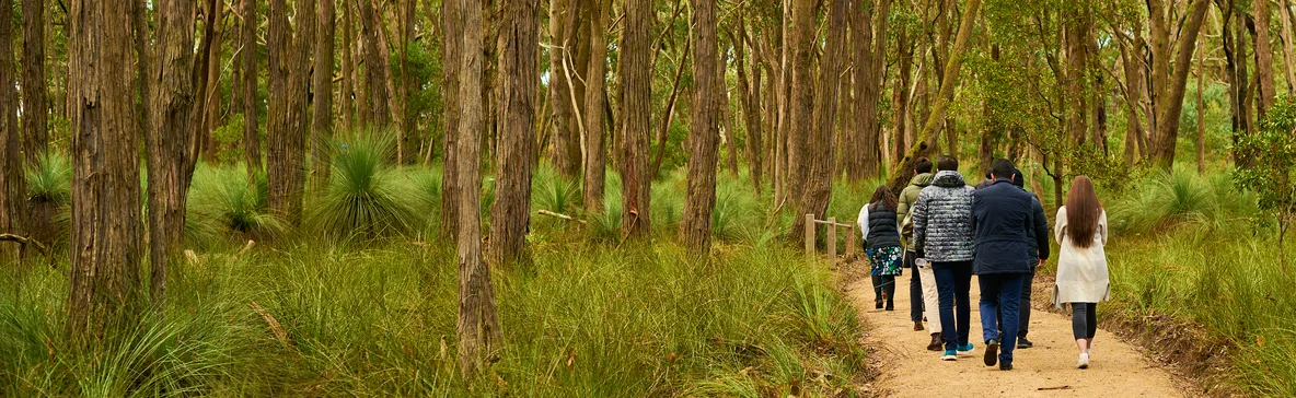 Doctor of Medicine first year students walk through bushland in Ballarat.