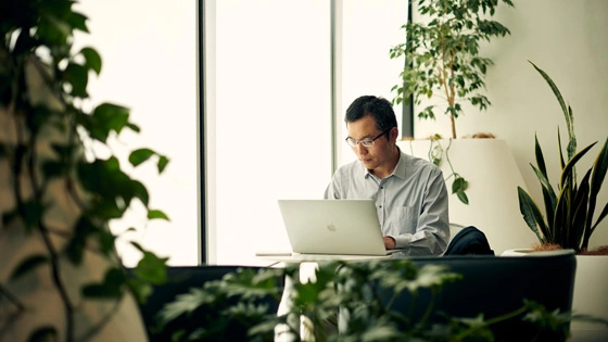 A law student working on a laptop 