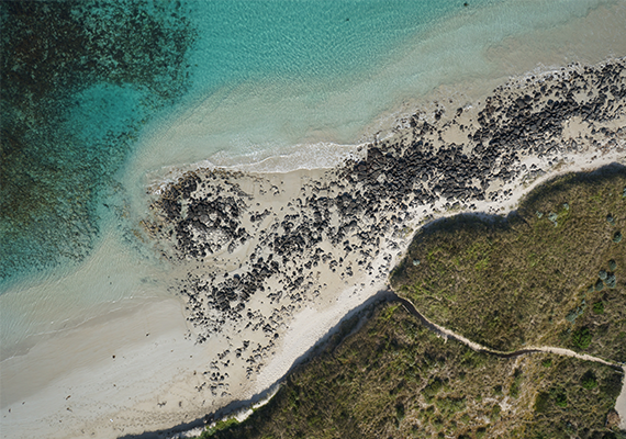 A drone shot of a coastline.