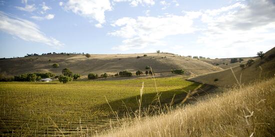 An Australian country landscape with mountains and a valley.