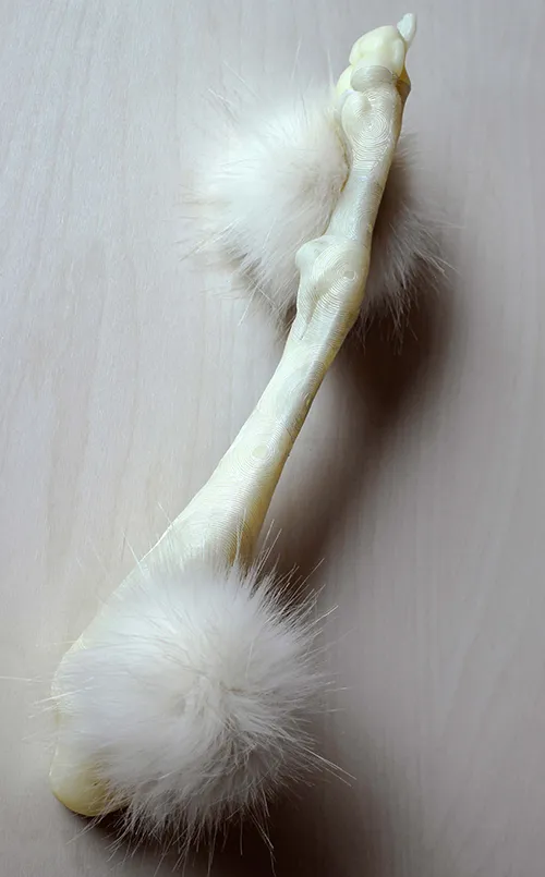 Sculpture made of bone and feathery pom poms