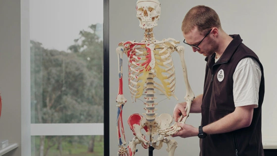 Exercise and sport science Geelong Waurn Ponds