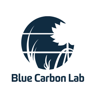 Blue Carbon Lab