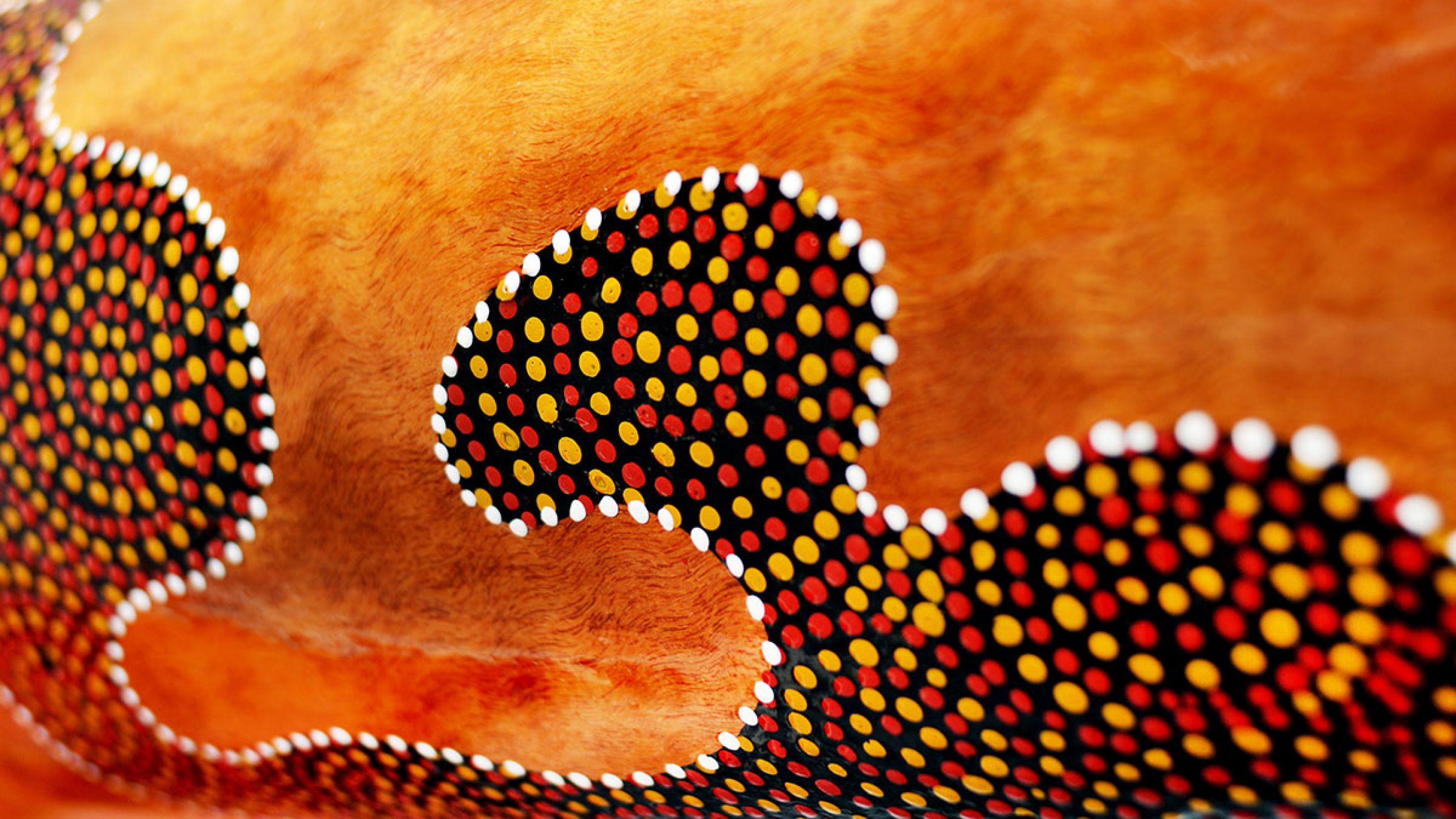 Australian Indigenous artwork