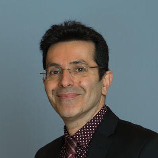 Profile image of Saeid Nahavandi